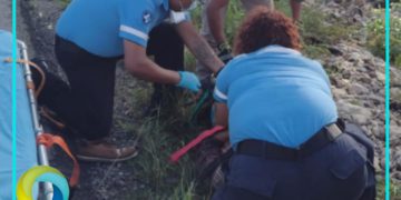 Arrollan a una persona de la tercera edad en la carretera federal 307 en Tulum; el conductor se da a la fuga