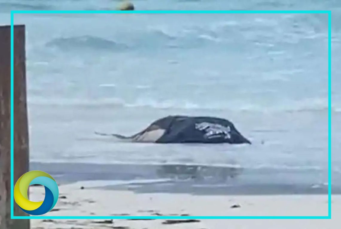 Recala un cuerpo sin vida en playa Sol de Isla Mujeres