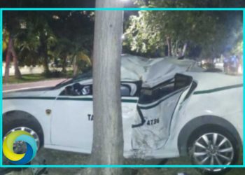 Taxista termina en el hospital tras chocar contra un árbol en la Zona Hotelera de Cancún