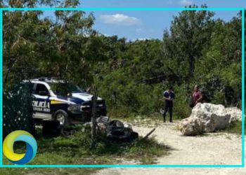 Hallan restos humanos en la colonia irregular Copa Nueva de Cancún