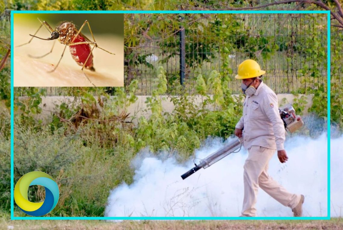 Incrementan los casos de dengue en Quintana Roo