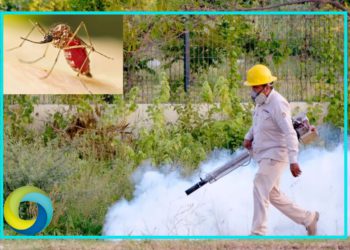 Incrementan los casos de dengue en Quintana Roo