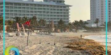 Reportan recale masivo de sargazo en playas de Cancún