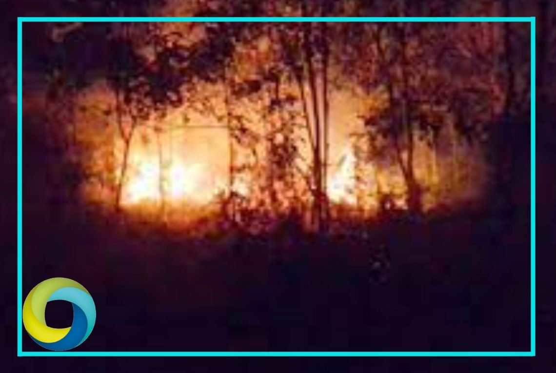 Chetumal: Incendio arrasa con 50 hectáreas de selva y mangle en la comunidad Xul-Ha