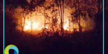 Chetumal: Incendio arrasa con 50 hectáreas de selva y mangle en la comunidad Xul-Ha