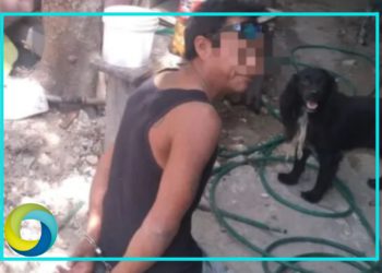 Detienen a un hombre por matar y cocinar el gato de su vecino en Playa del Carmen