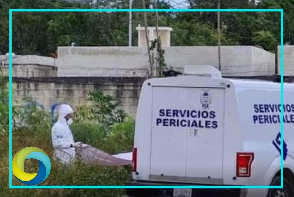 Hallan un embolsado en la colonia Fovissste de Chetumal