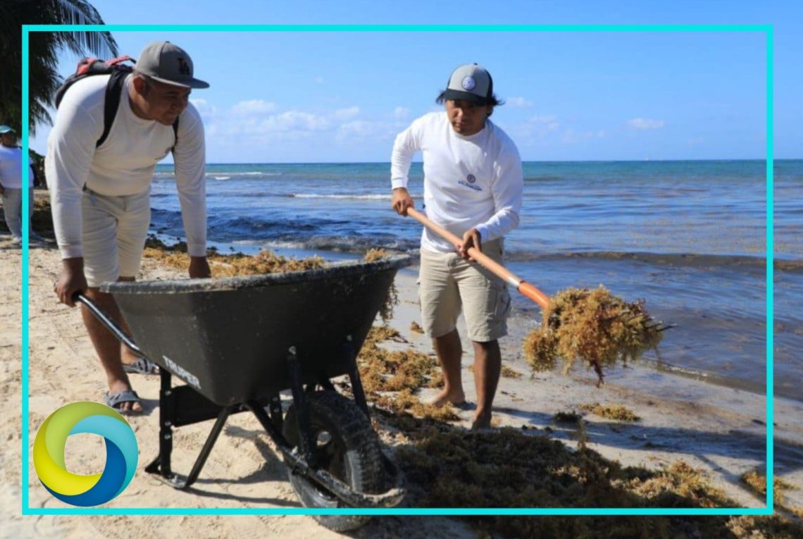 Mantienen limpias la playas de Solidaridad